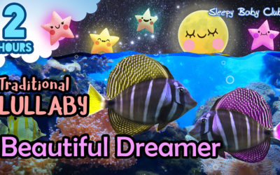 Beautiful Dreamer