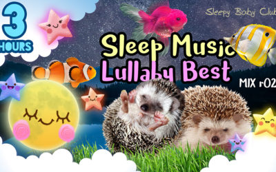 Sleep Music Lullaby Best – Mix r22